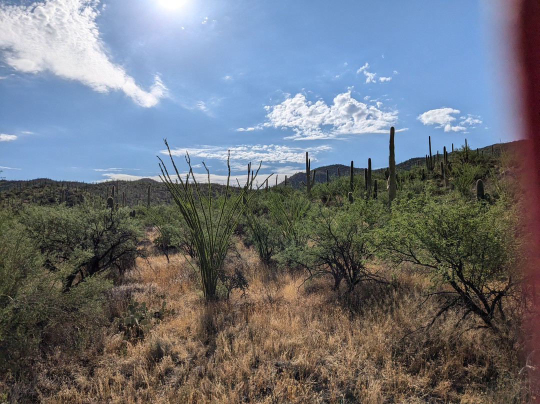 Tanque Verde Ranch-图森必去景点