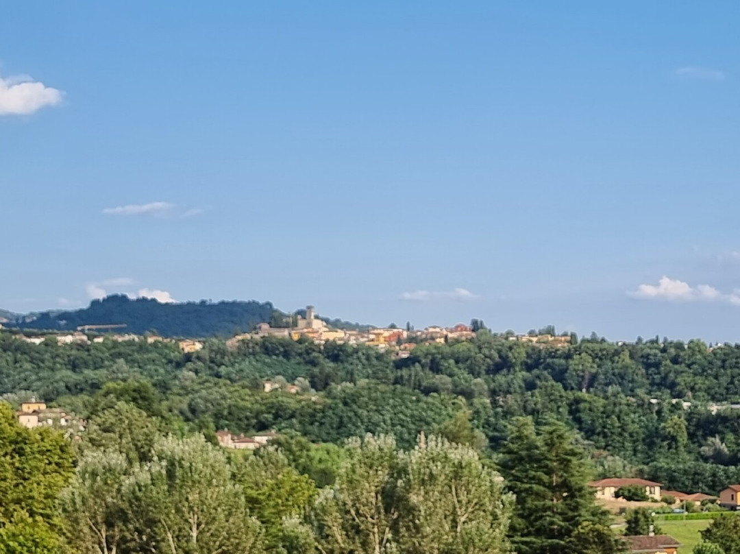 Fondazione Giovanni Pascoli景点图片