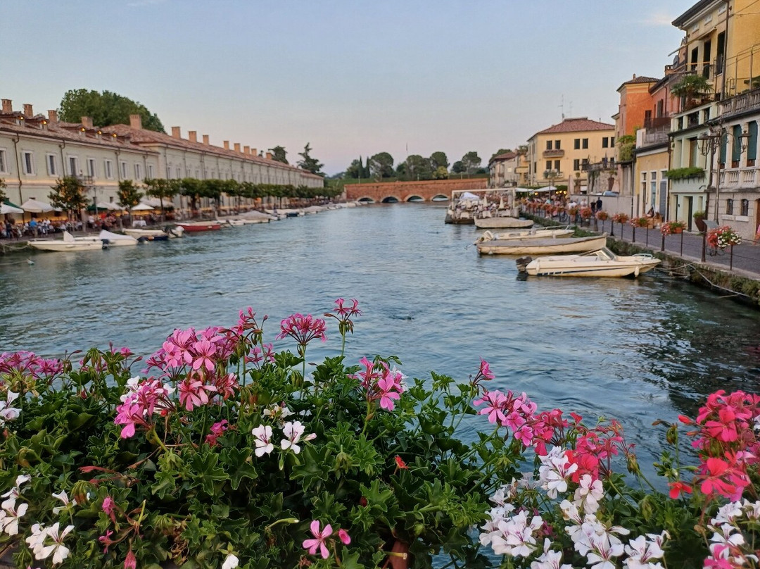 Ponte di Viale Cordigero景点图片