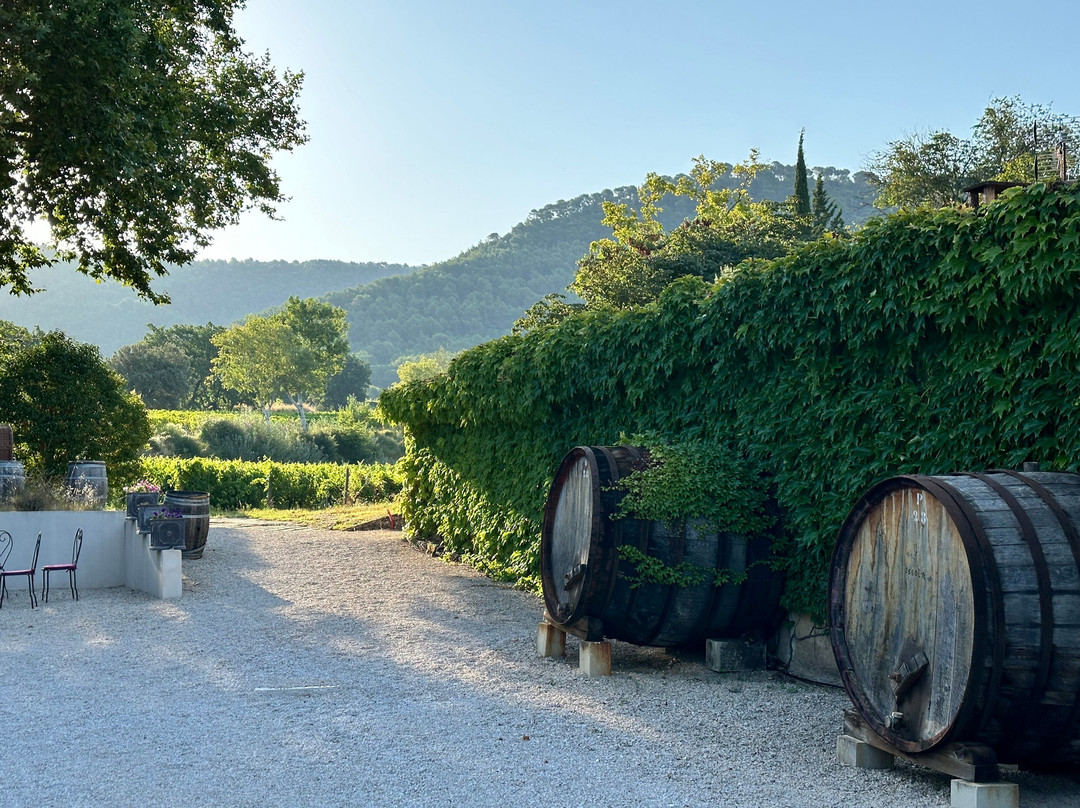 Logis Hôtellerie du Domaine de Cabasse主图