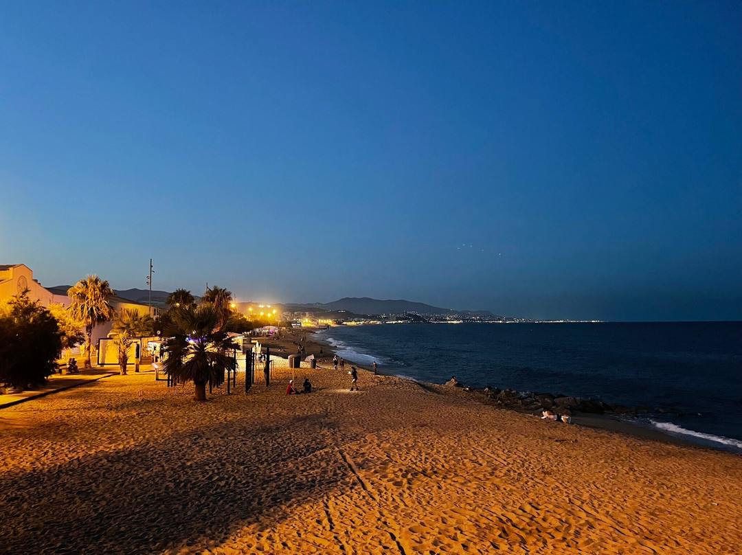 Playa de la Estacion景点图片