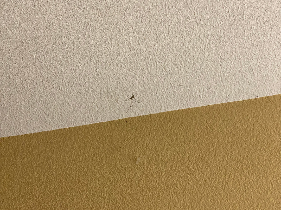 优胜美地瀑布山庄主图