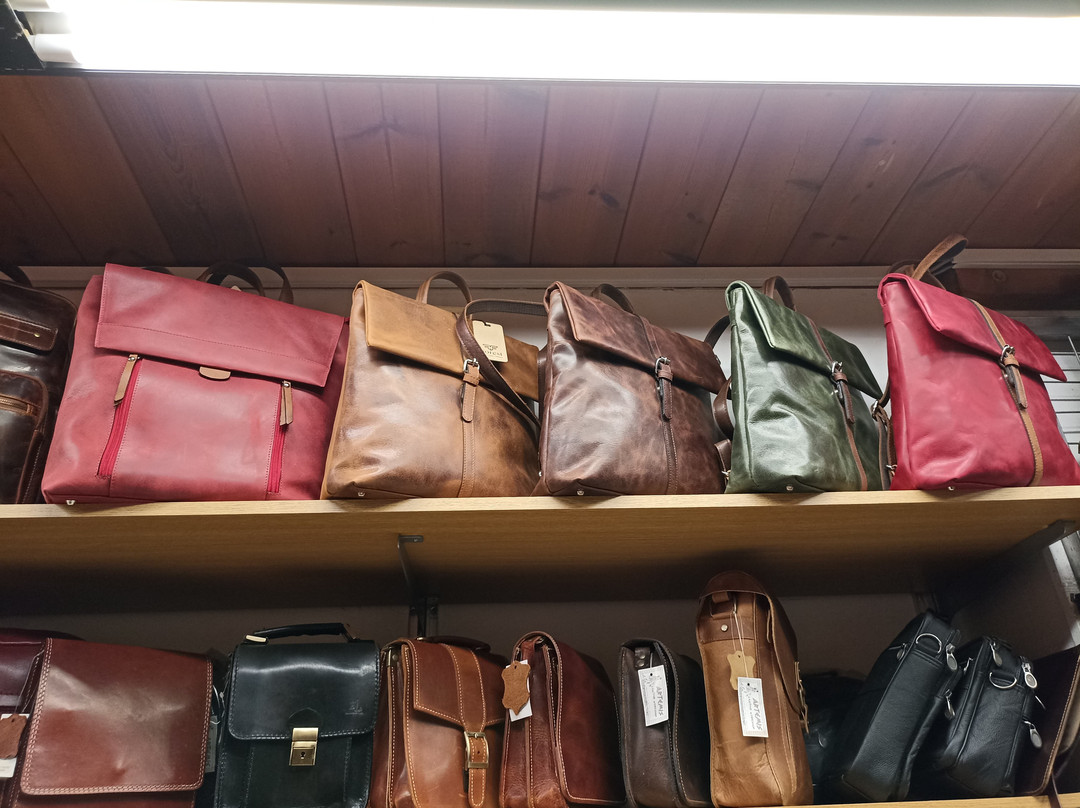 Artemis Leather景点图片