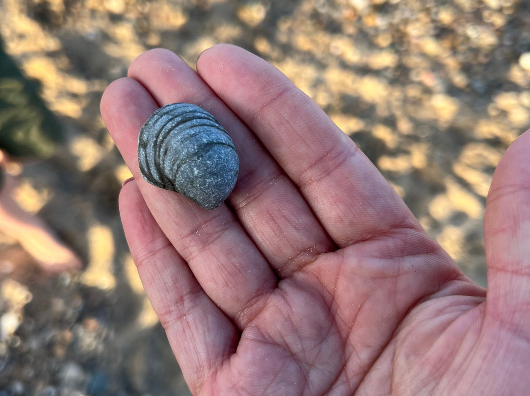 Barmston Beach景点图片