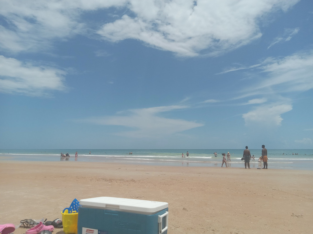 Andy Romano Beachfront Park-奥蒙德海滩必去景点