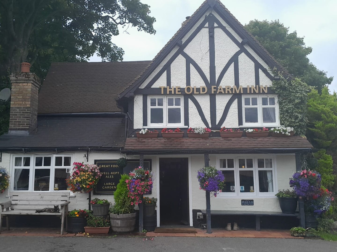 The Old Farm Inn