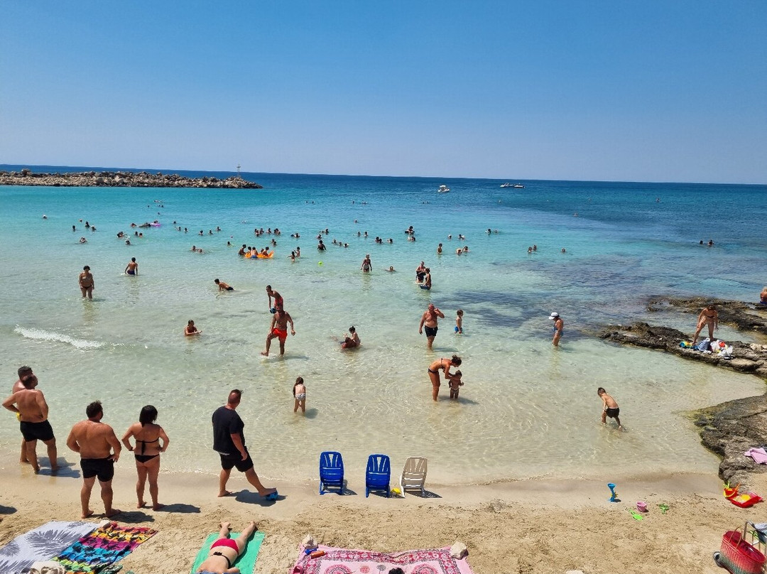 Hotel Al Porticciolo主图