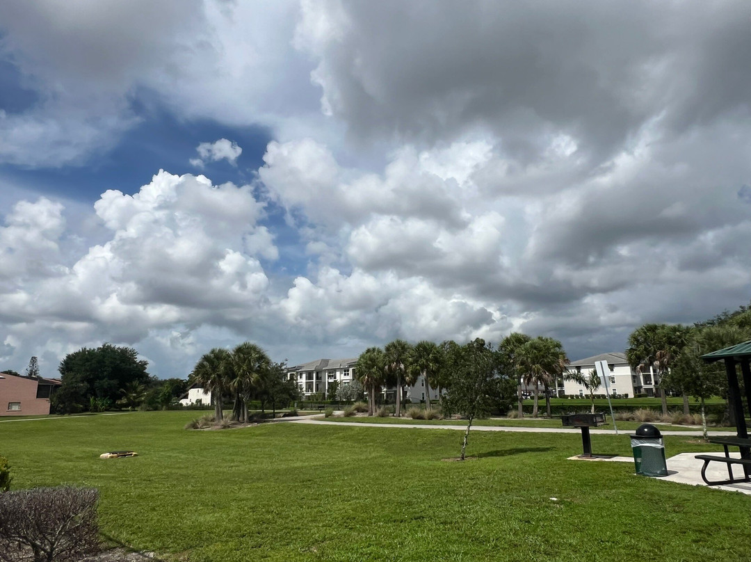 Village Green Park-科勒尔斯普林斯必去景点