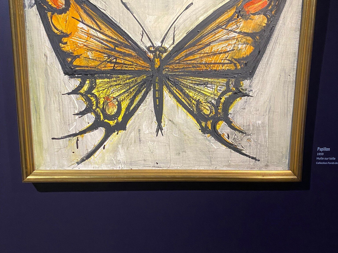 Musée D'art Moderne景点图片
