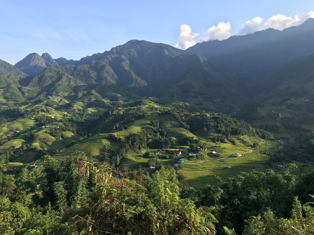 Pethao Sapa