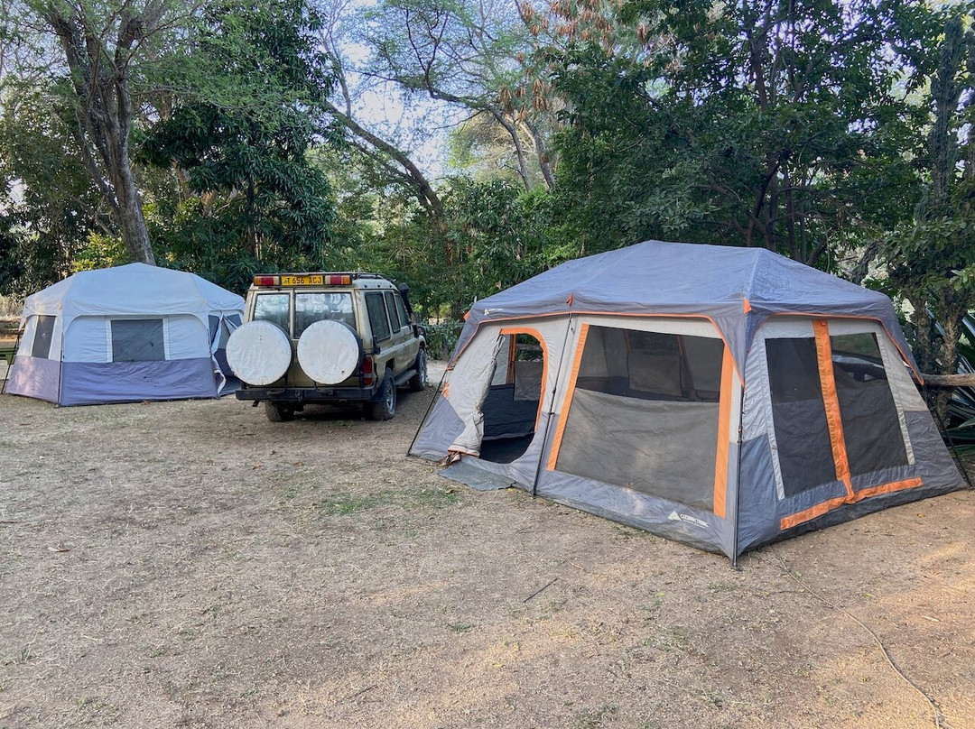 Chogela Safari Camp主图