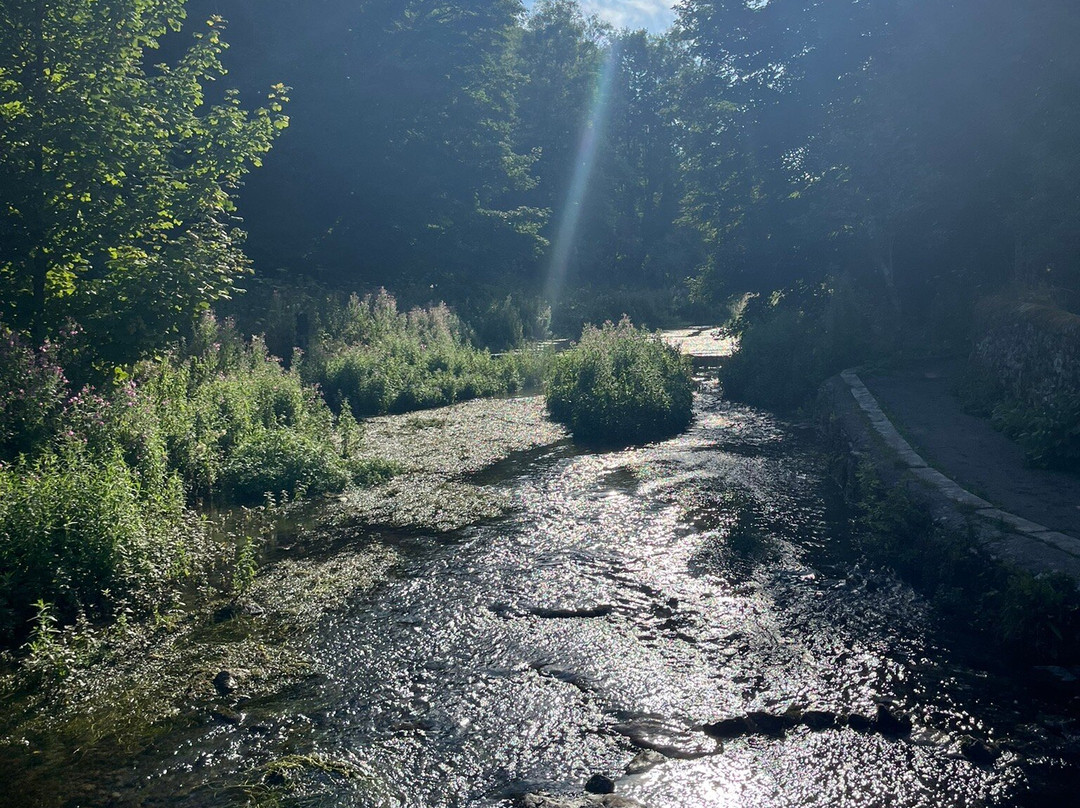 Youlgreave Wild River Swimming Area-Youlgreave必去景点