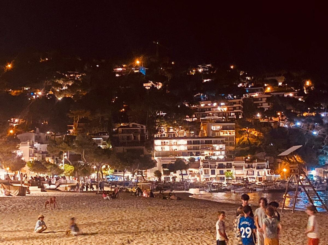 Playa De Llafranc景点图片
