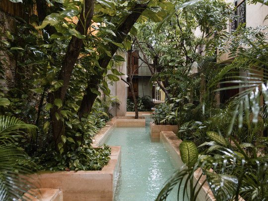 Treehouse Boutique Hotel主图