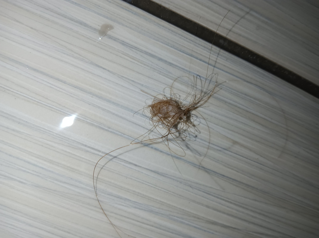 Red Roof Inn Detroit - Farmington Hills主图