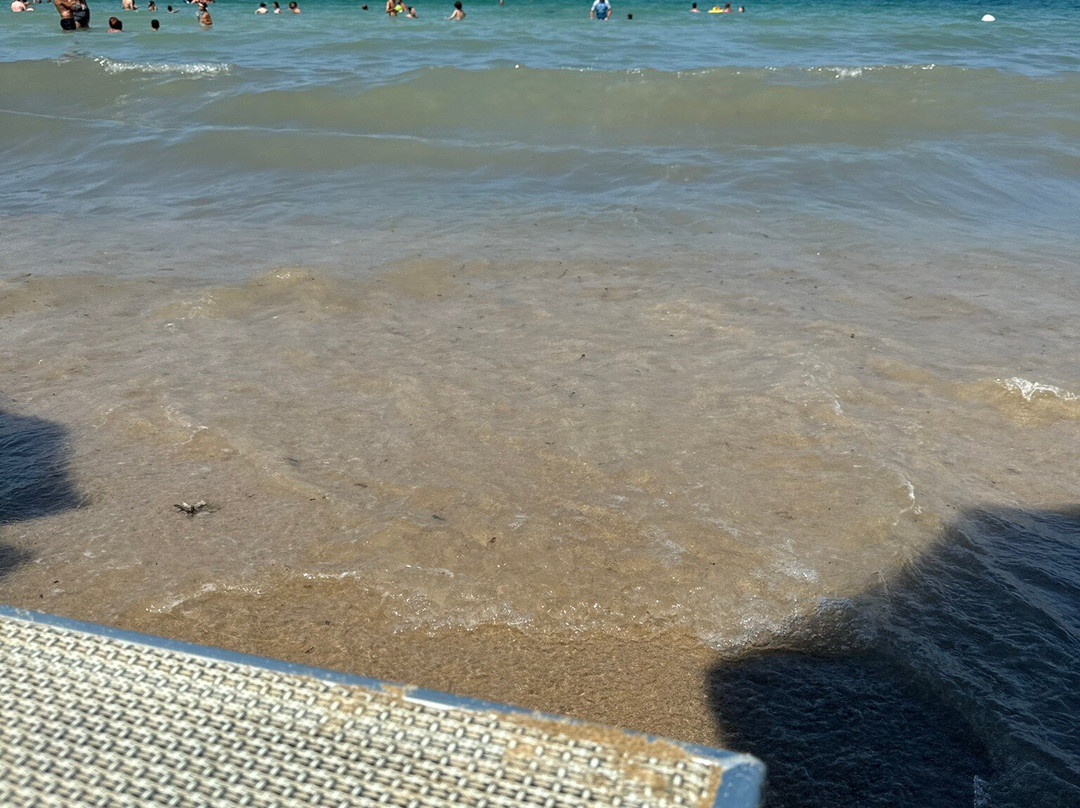 Lido Verde景点图片