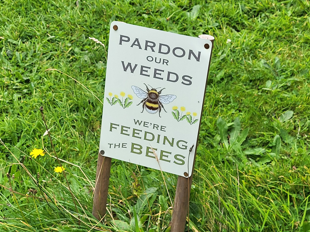 The Hive at 52主图