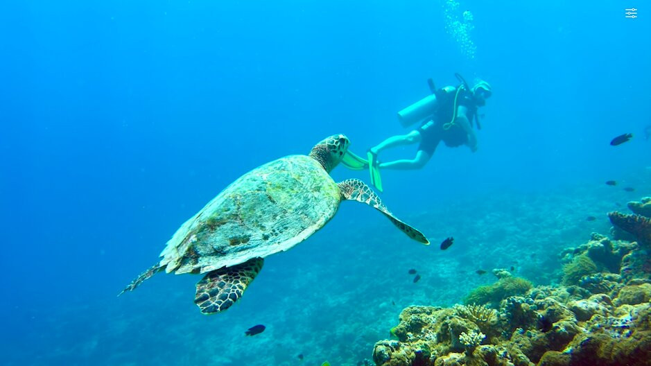 SUB AQUA DiveCenter Angaga景点图片