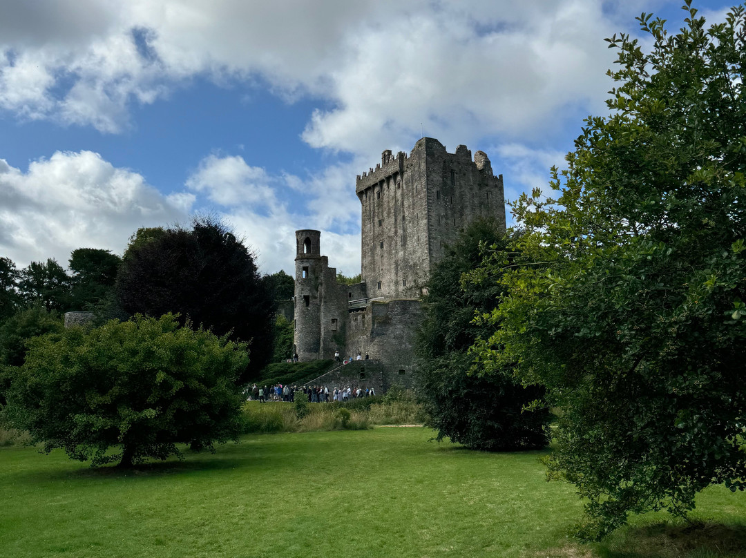 Chauffeur Tours of Ireland-Drogheda必去景点