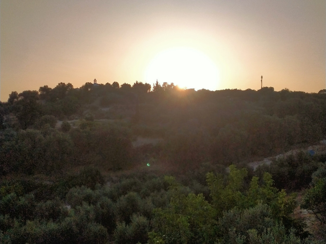 Villa Kara - B&B主图