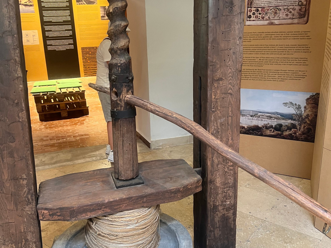 Museum Olei Histriae-普拉必去景点