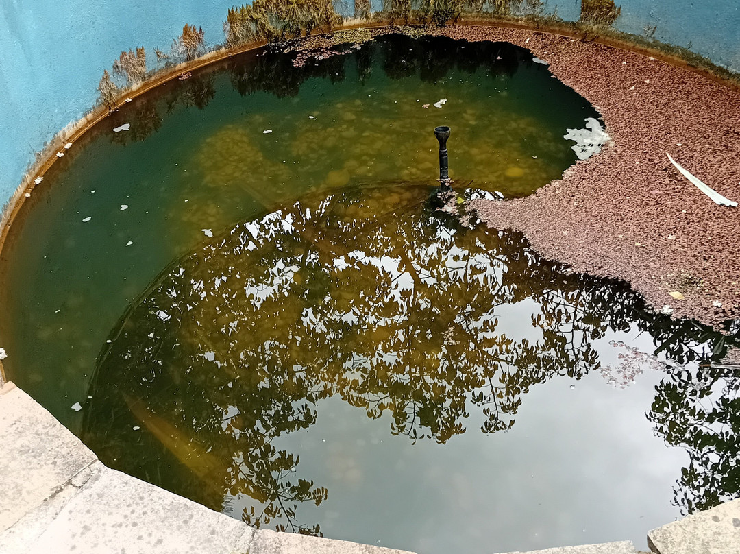 National Garden Exhibition Centre-Kilquade必去景点