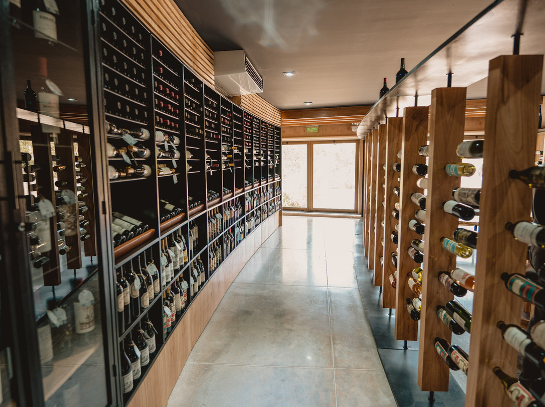 Vigil Wine Club Chacras景点图片