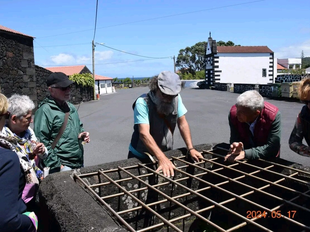 Pico Historical Walking Tours