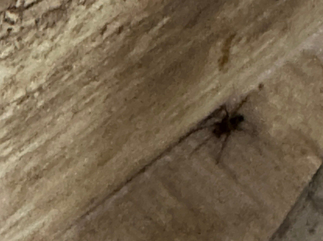 阿森斯希尔顿恒庭酒店主图