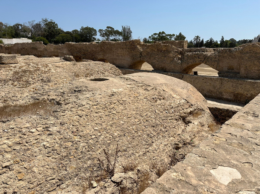 Carthage  Aqueduct-迦太基必去景点