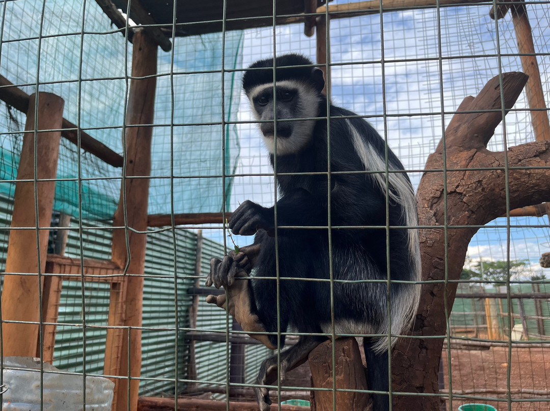 Nile Reptile Park-金贾必去景点