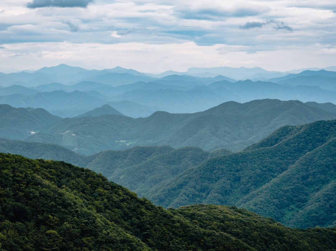 Moak Mountain