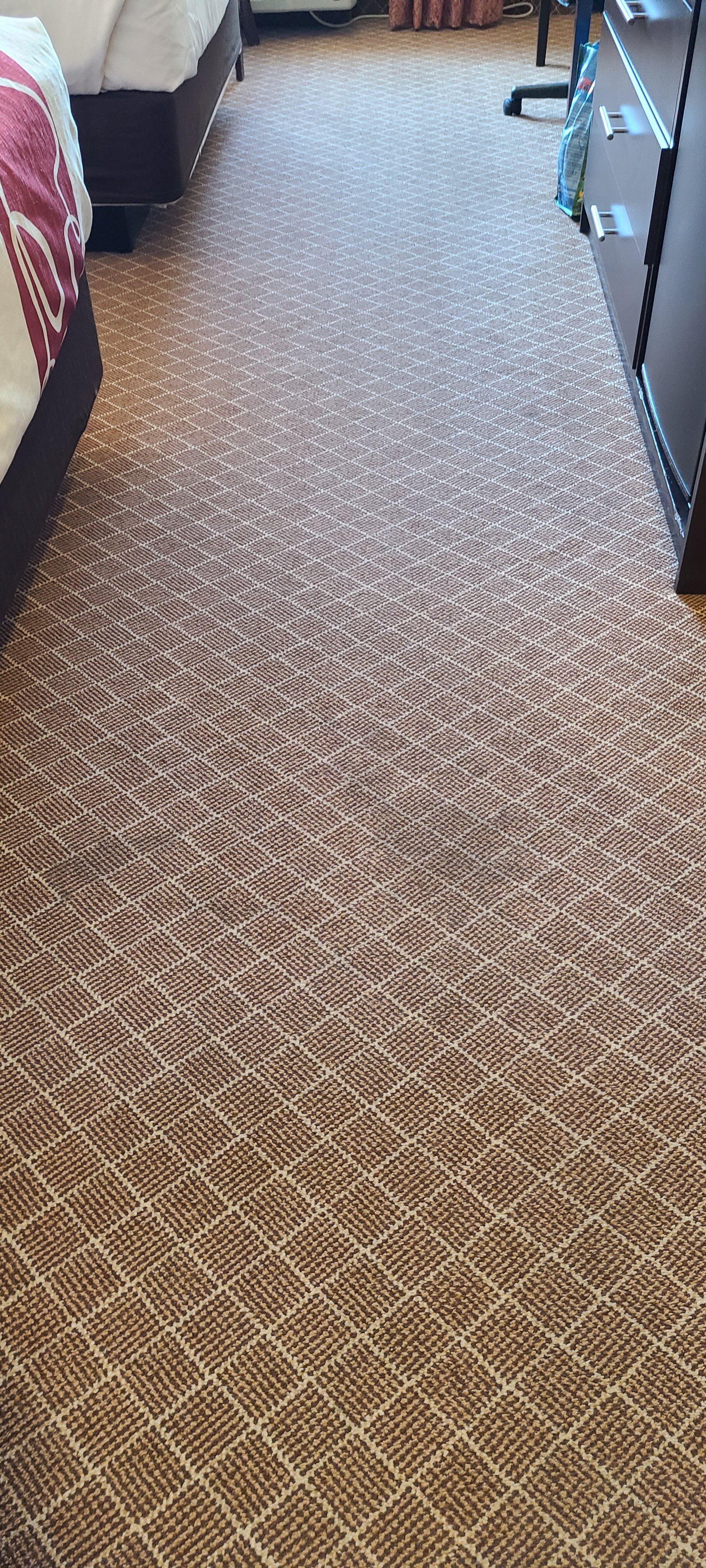 La Quinta Inn & Suites by Wyndham Ely-客卧