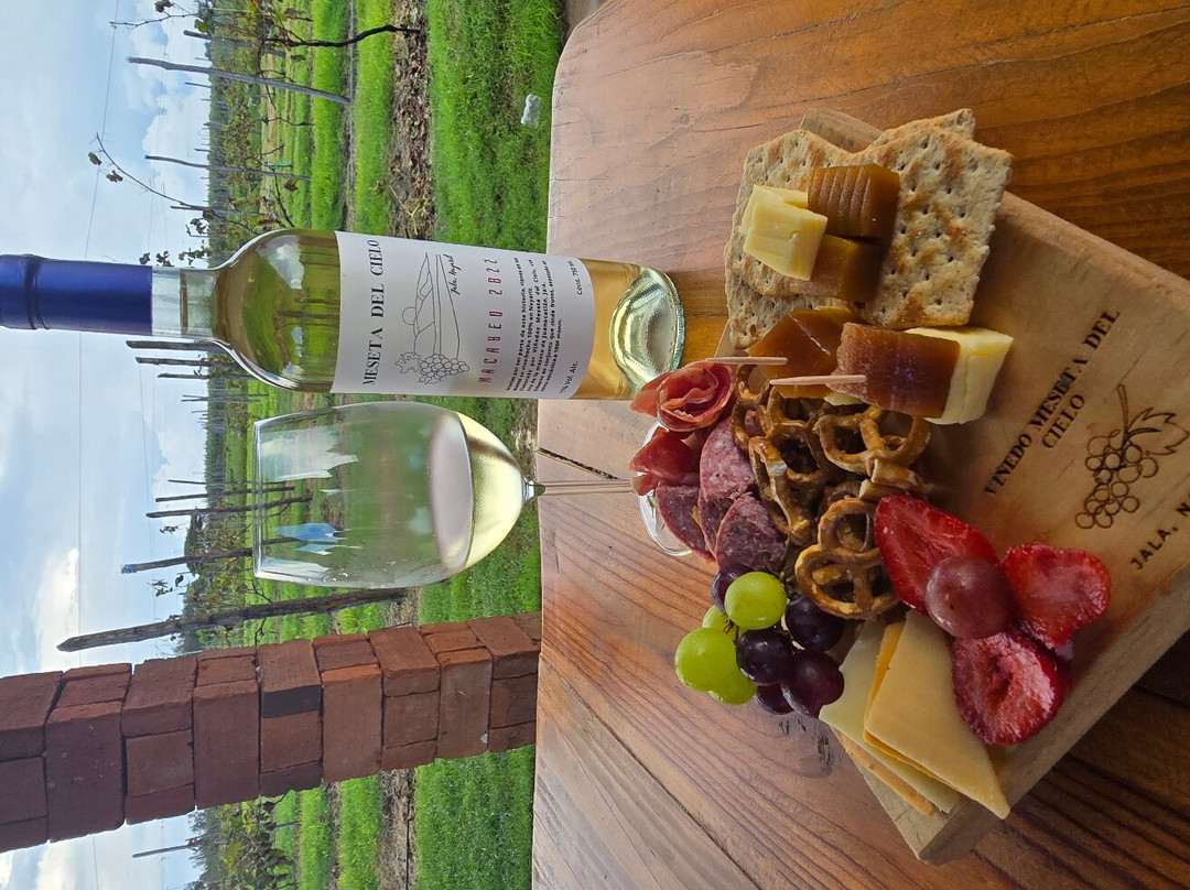 Viñedo Meseta Del Cielo-Jala必去景点