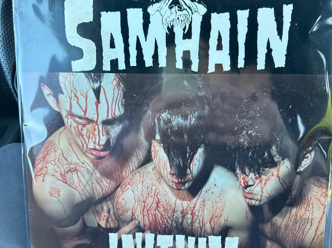 Amoeba Music-伯克利必去景点