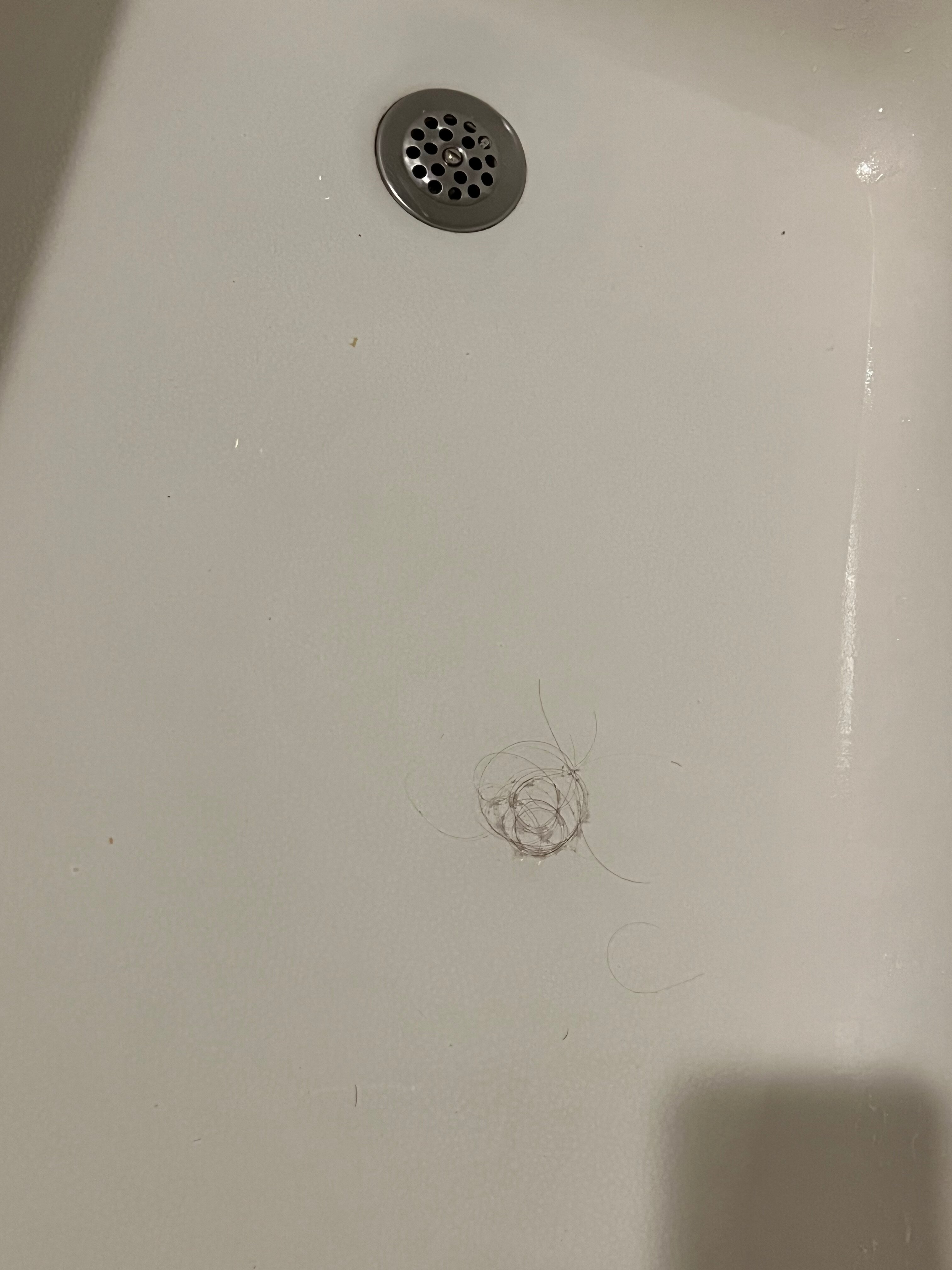 Homewood Suites By Hilton Lynnwood Seattle Everett-客卧