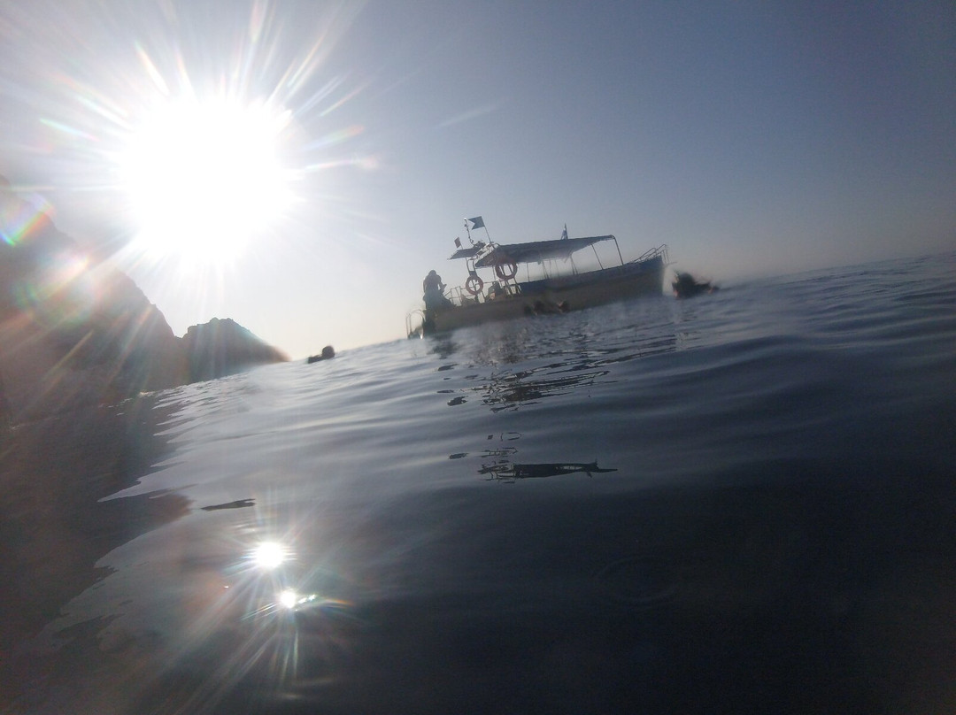 Diving Center Turtle Beach景点图片