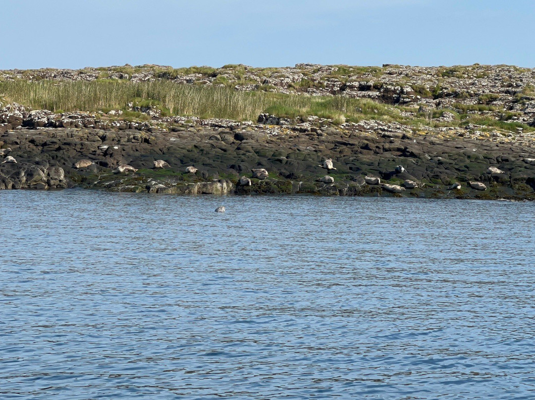 SkyeXplorer Boat Trips-Uig必去景点