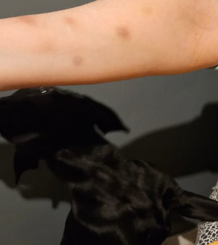 Brooklyn House主图