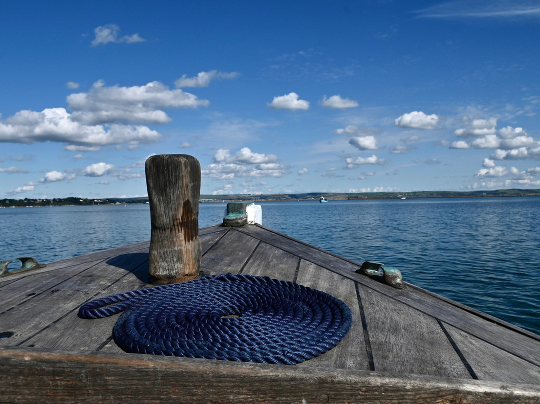Coastline Cruises-韦茅斯必去景点