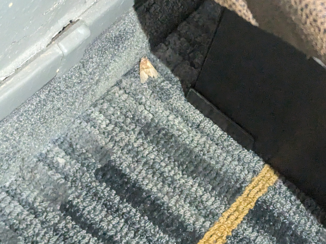 Baymont by Wyndham Lancaster主图