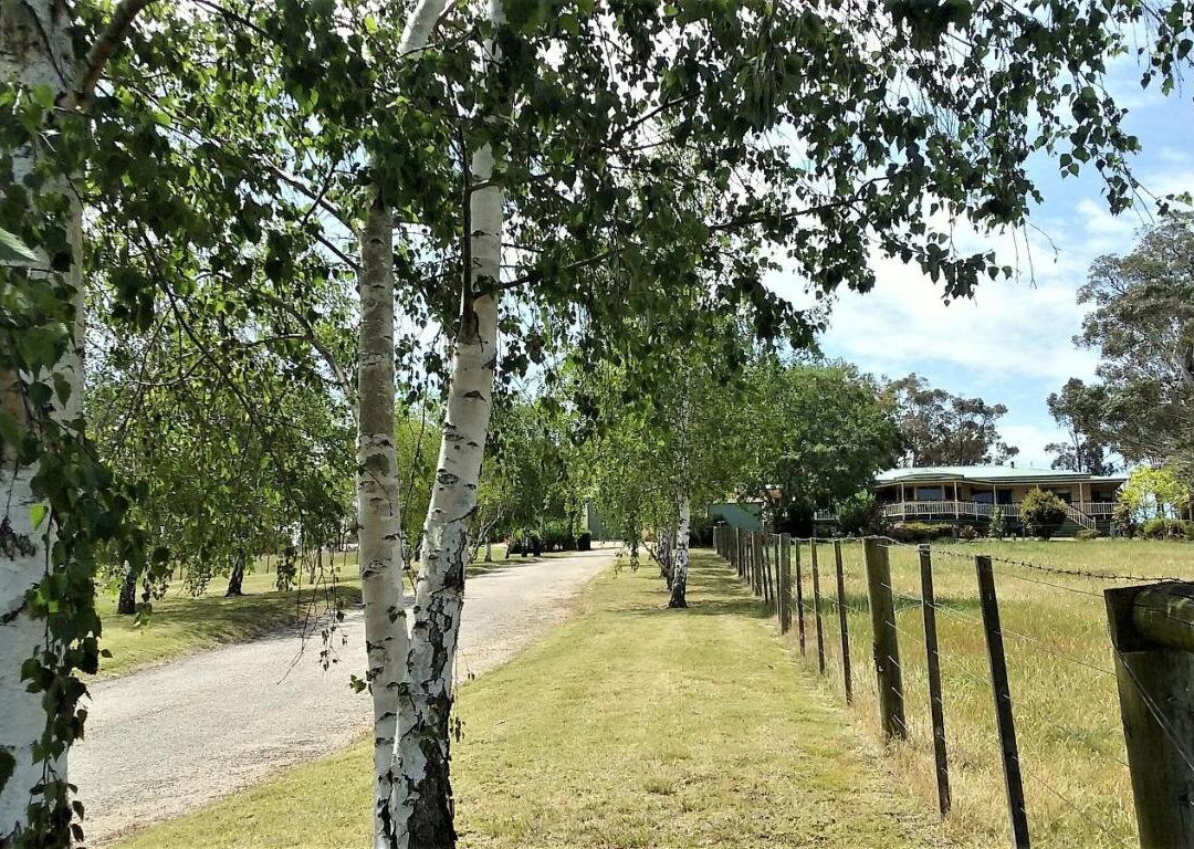 Nicholson B&B And Arts Centre主图