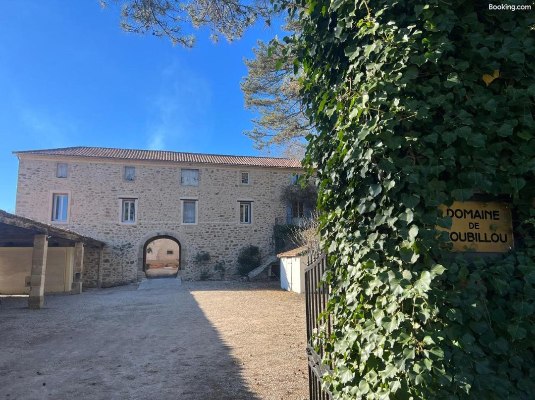 Chateau Coubillou主图