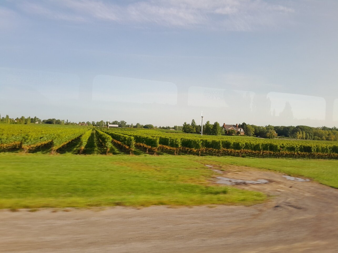 Niagra Parkway-尼亚加拉大瀑布必去景点