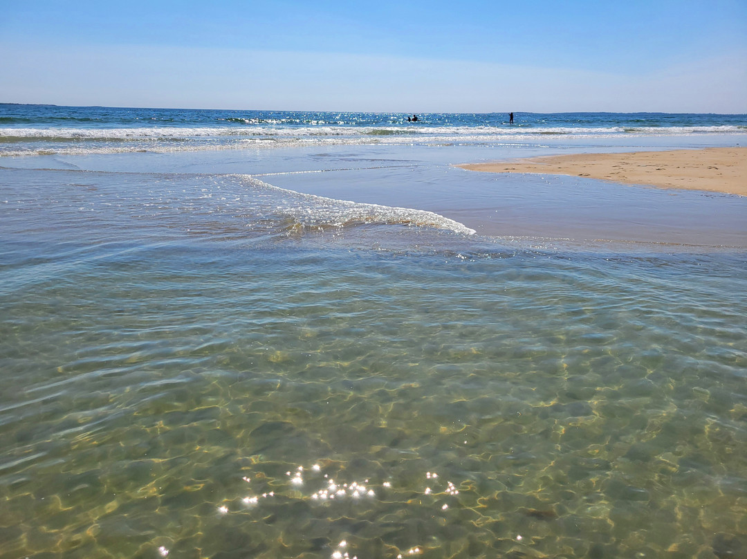 The Holiday House Inn主图