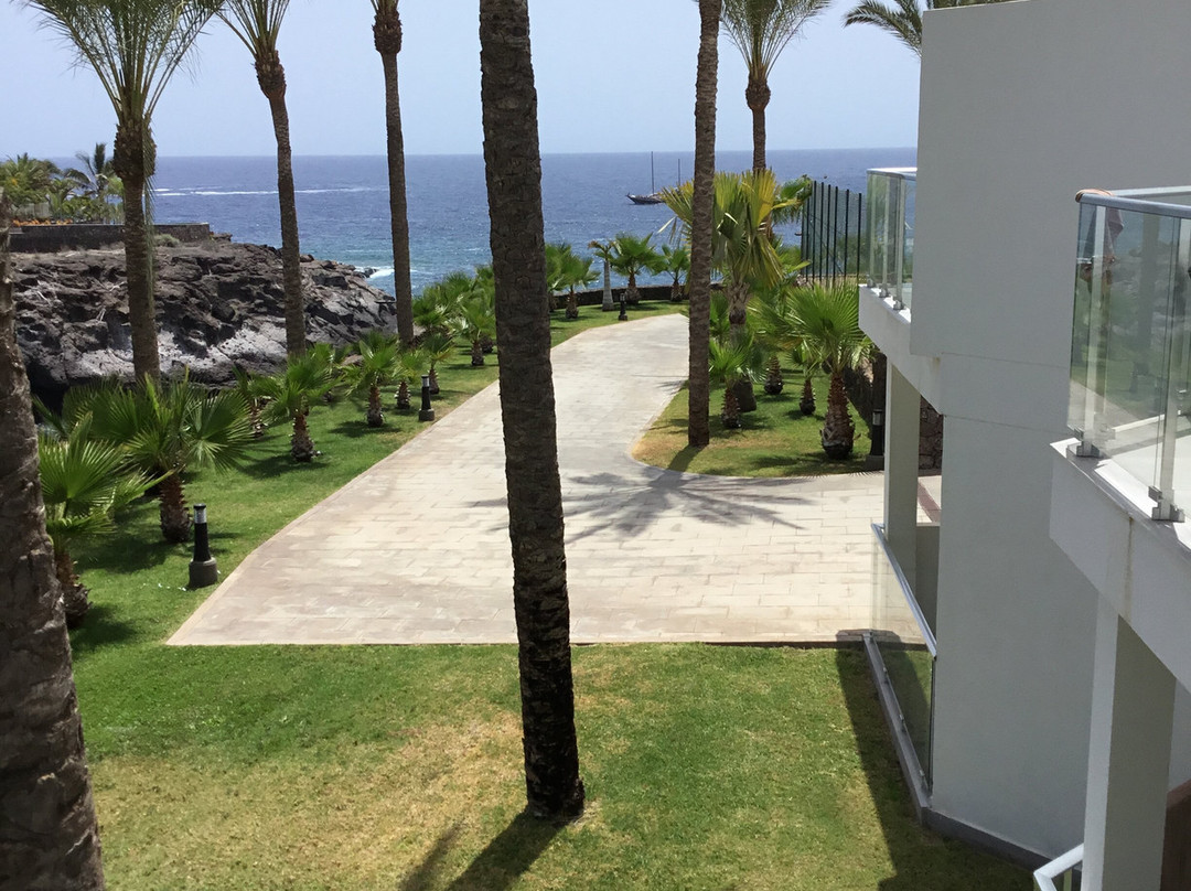 Hotel Riu Buenavista主图