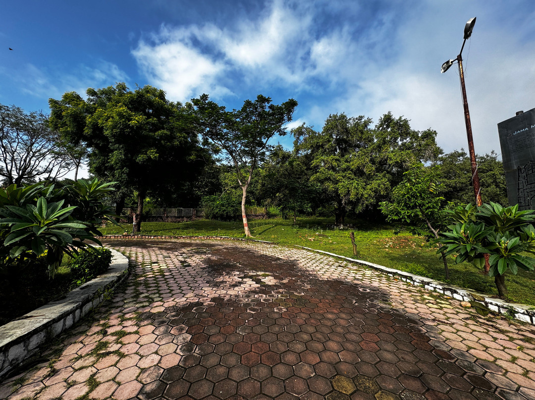 MPT Tana Bana, Chanderi主图