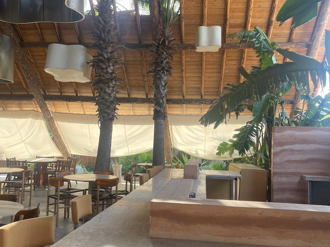 Playa Tropical景点图片