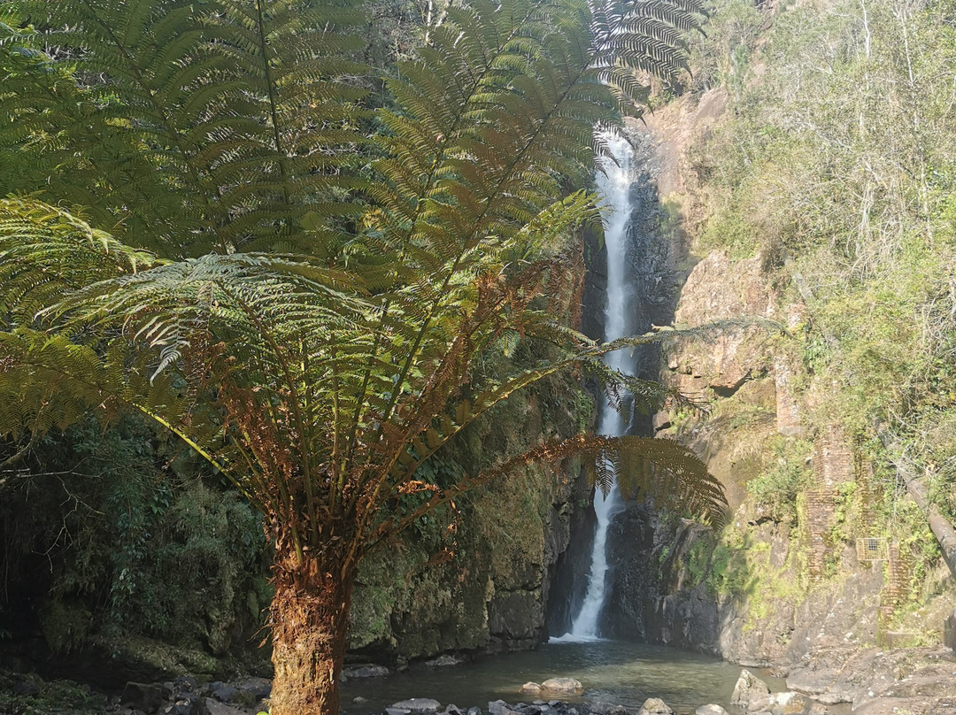 Cascata Paraiso-Campo Alegre必去景点