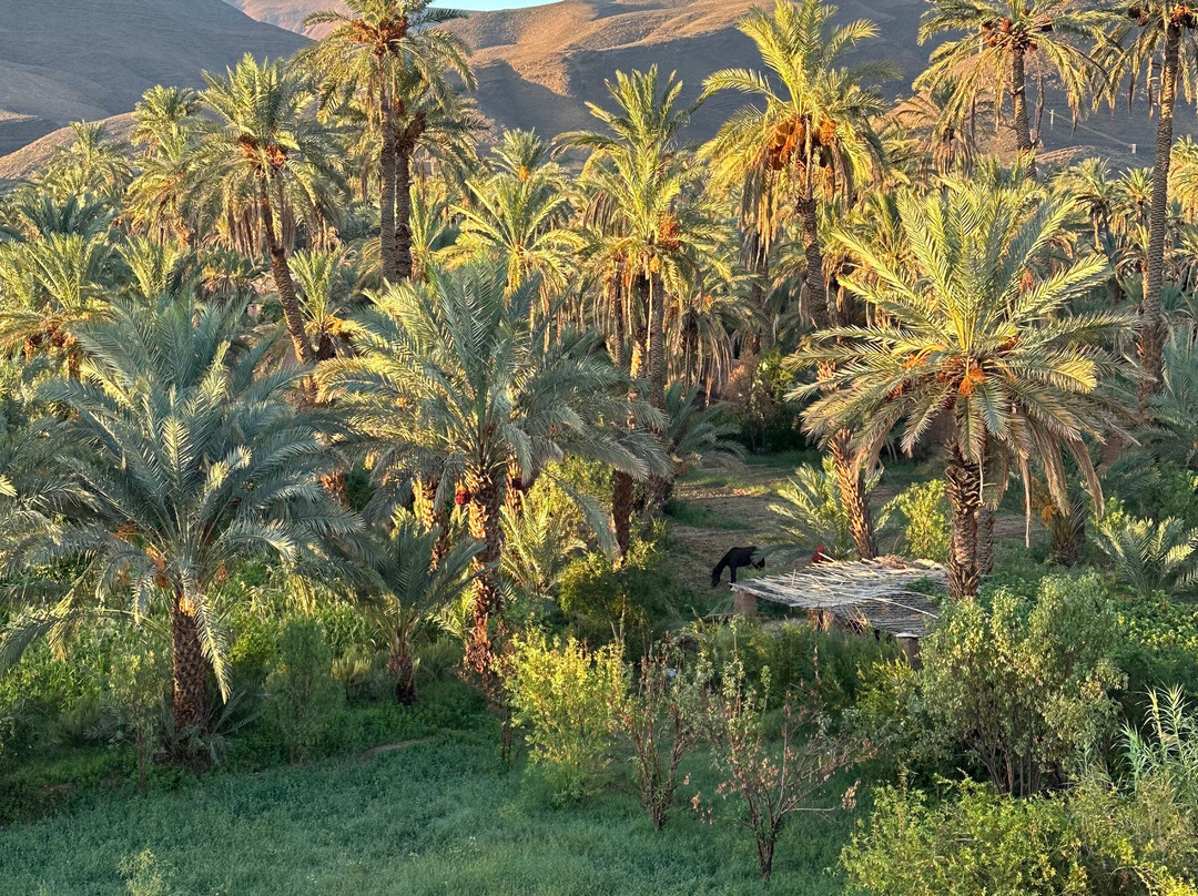 Kasbah Maktob Tamnougalt主图